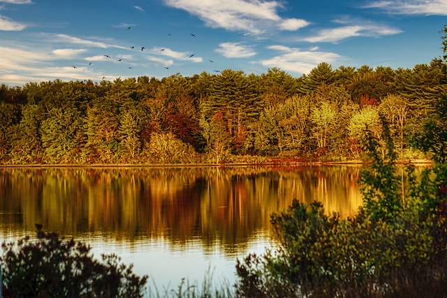 Scene view of a lake with a gorgeous sun