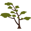 tree icon for stacy sells resource page